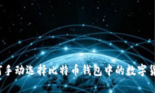 如何手动选择比特币钱包中的数字货币？